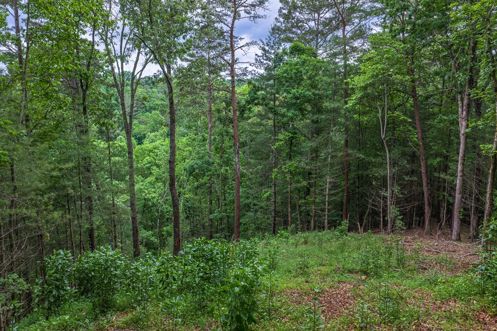 9 Deer Haven Drive