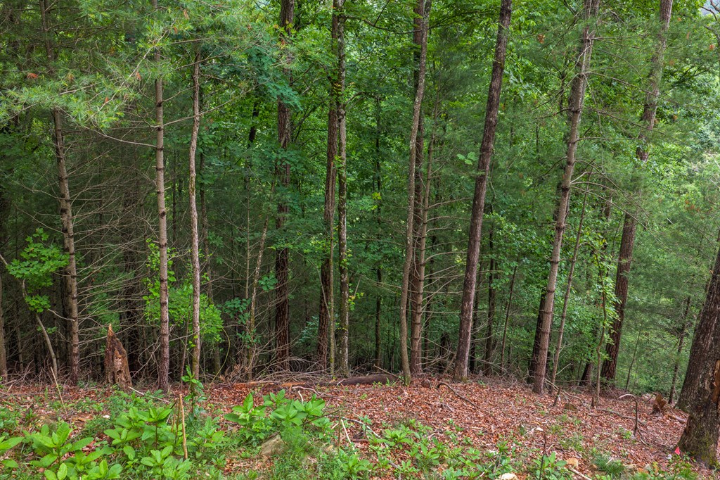 9 Deer Haven Drive