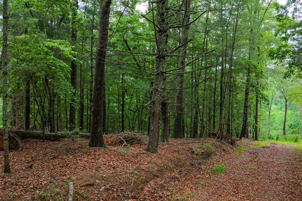 9 Deer Haven Drive