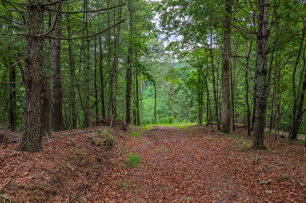 9 Deer Haven Drive