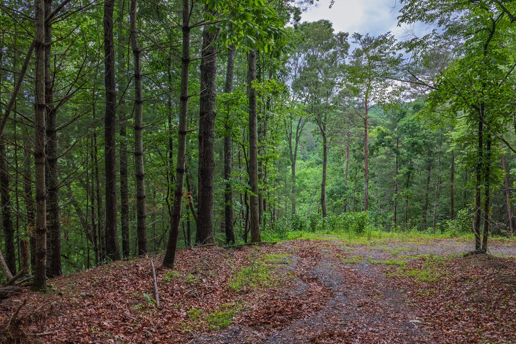 9 Deer Haven Drive