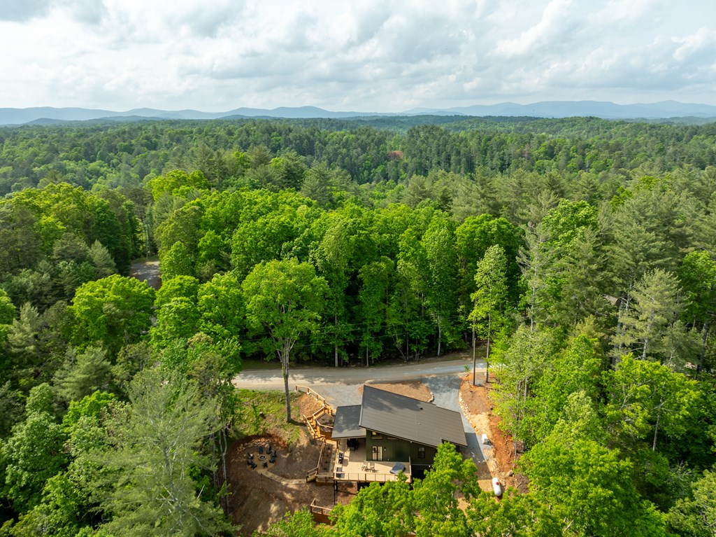 77 Hickory Lane