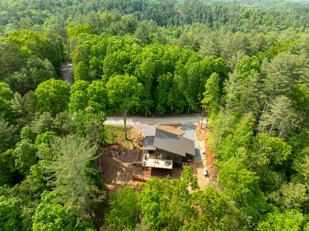 77 Hickory Lane