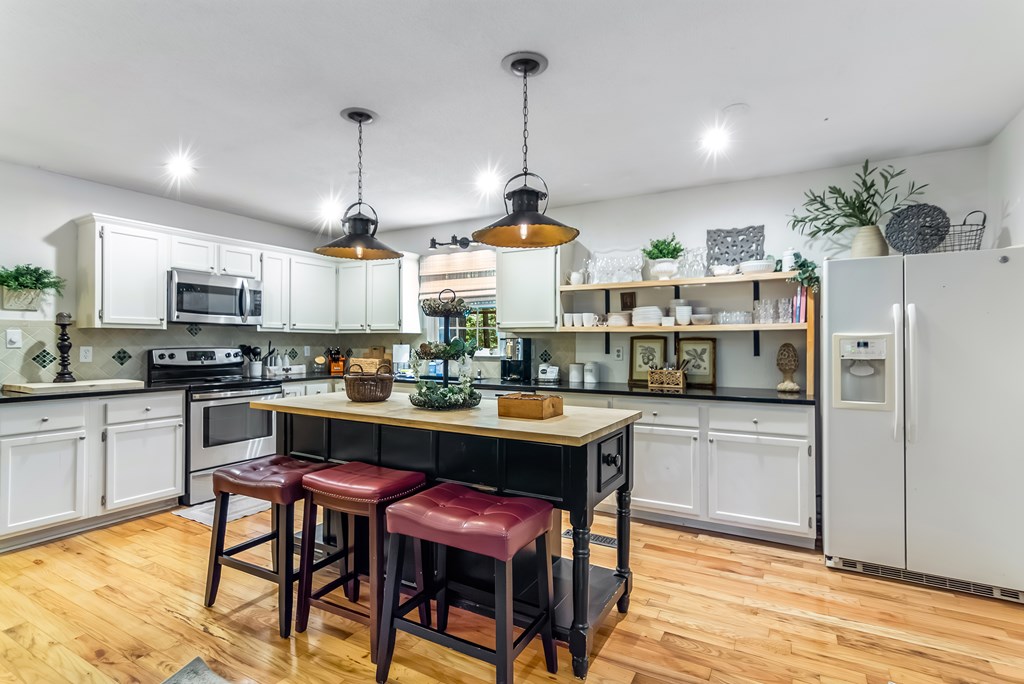 480 Pasha Drive