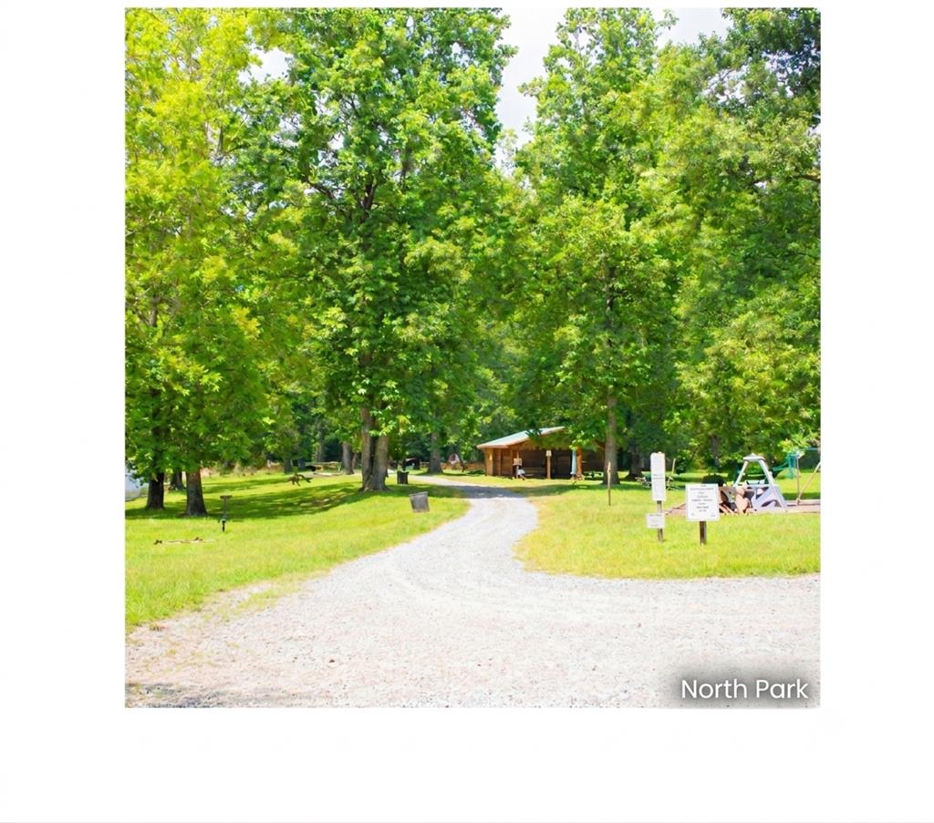 480 Pasha Drive