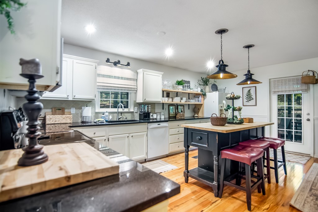 480 Pasha Drive
