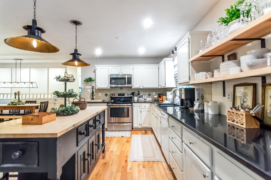 480 Pasha Drive