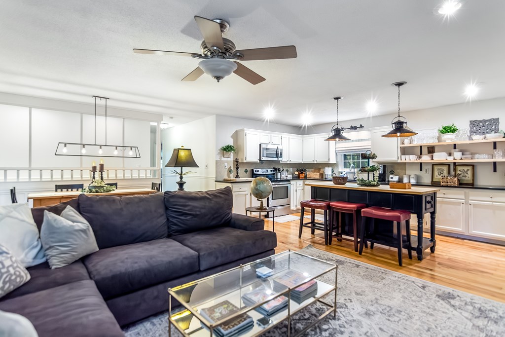 480 Pasha Drive