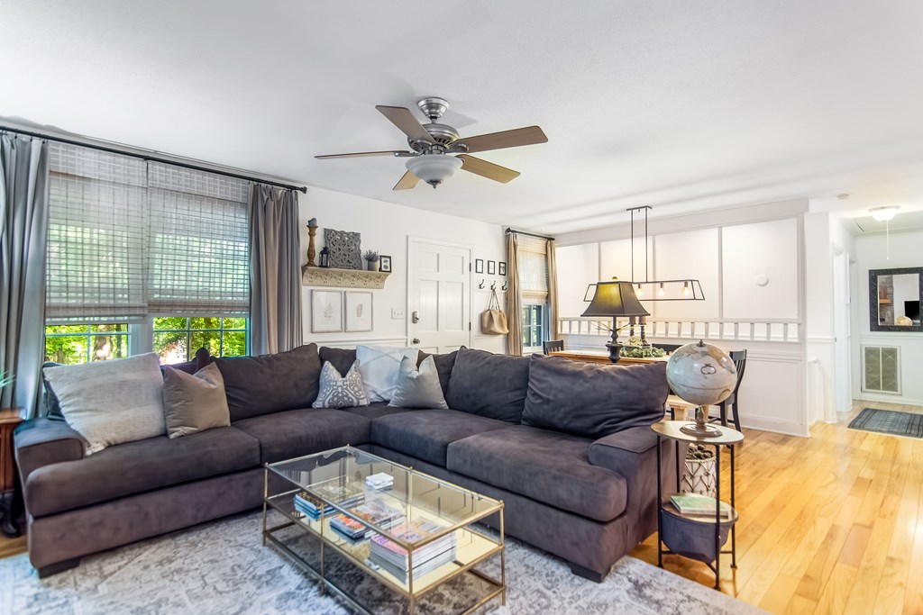 480 Pasha Drive