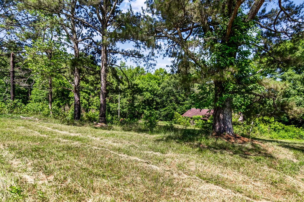 773 Fairview Road