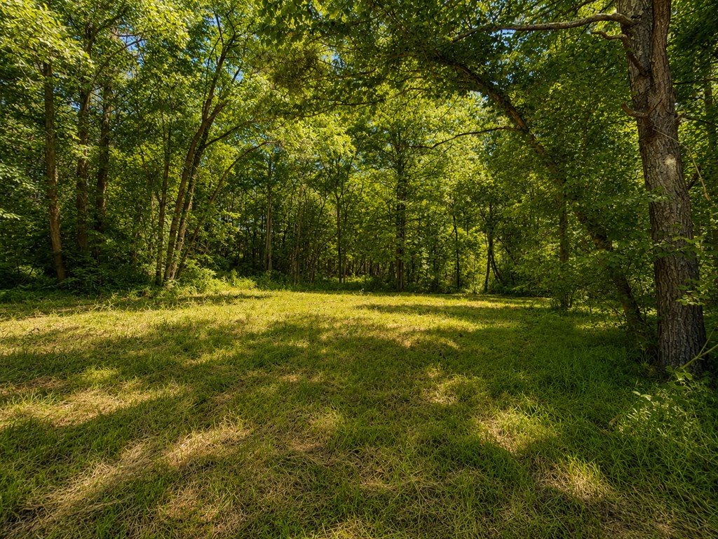 773 Fairview Road