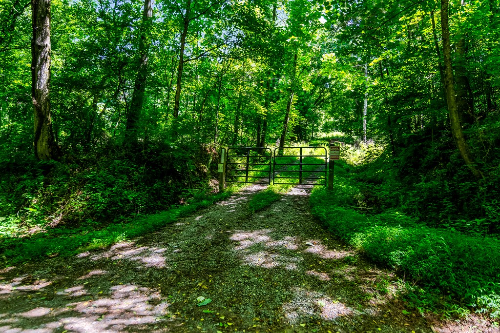 773 Fairview Road