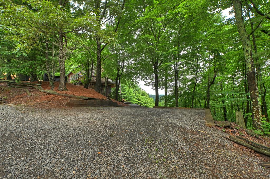 530 Amy Creek Circle