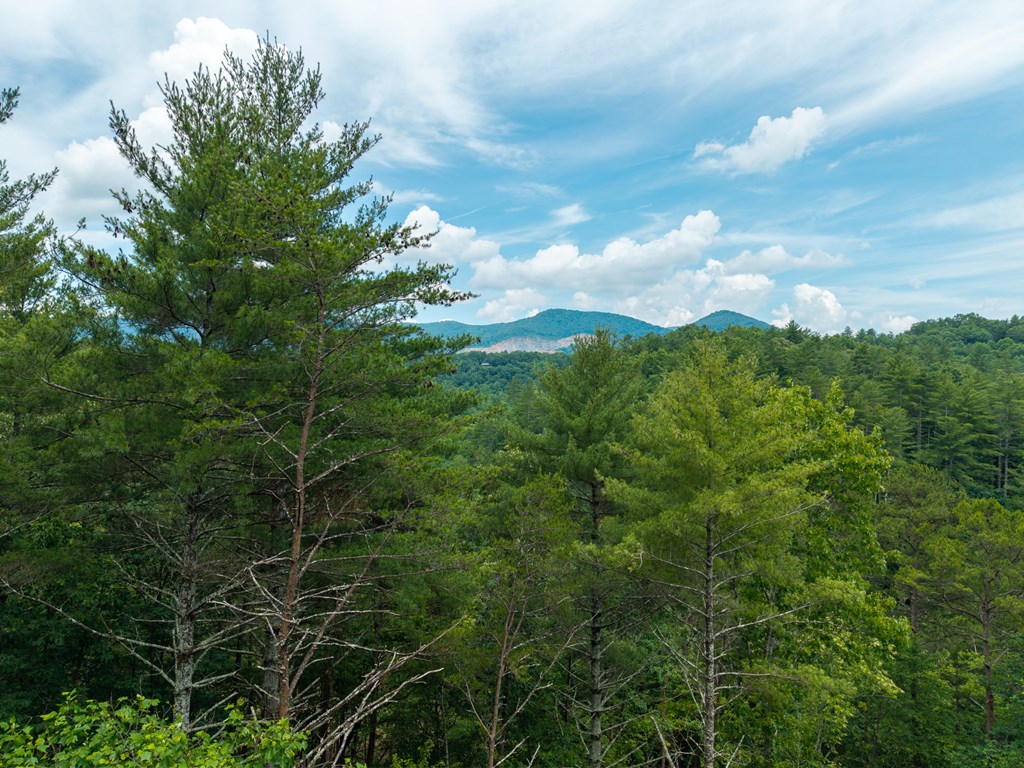 Lot 630 Nahunta Court