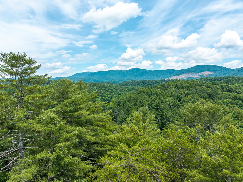 Lot 630 Nahunta Court