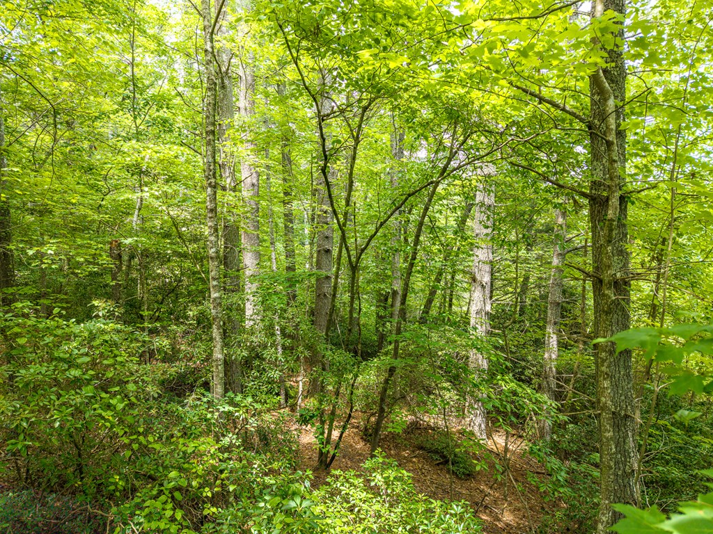 Lot 630 Nahunta Court
