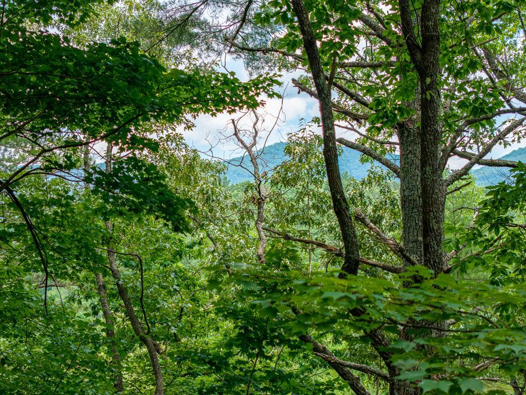 Lot 630 Nahunta Court