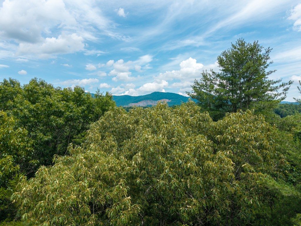 Lot 630 Nahunta Court