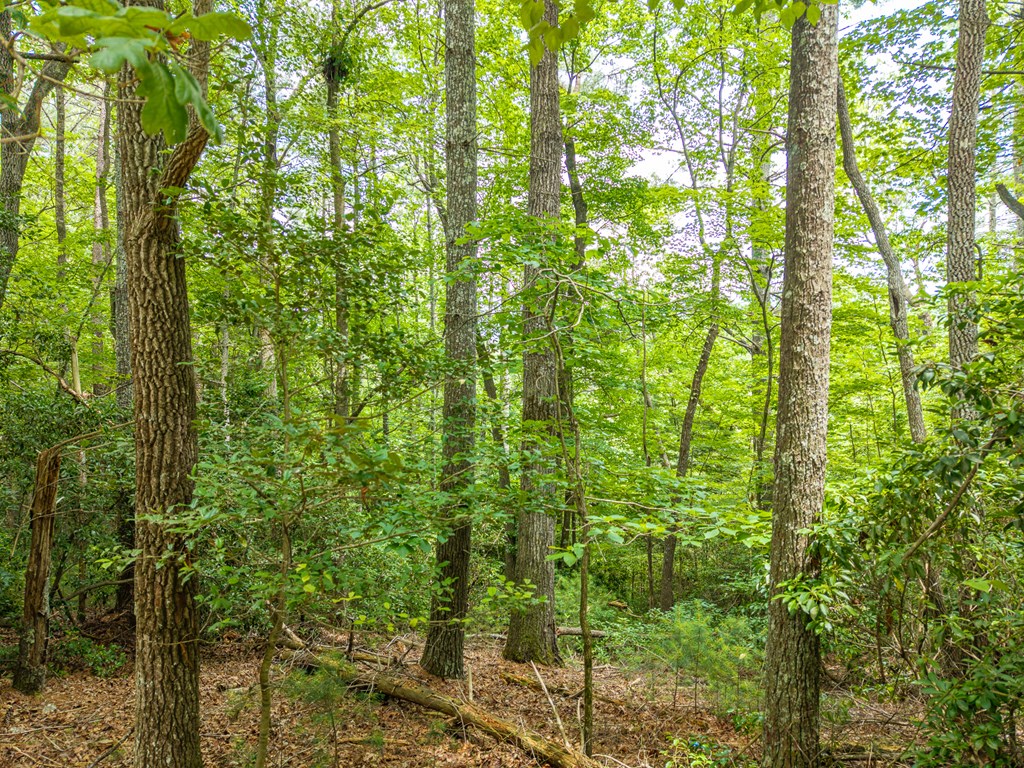 Lot 630 Nahunta Court