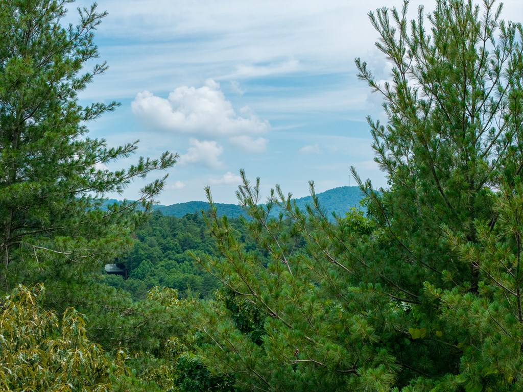 Lot 630 Nahunta Court