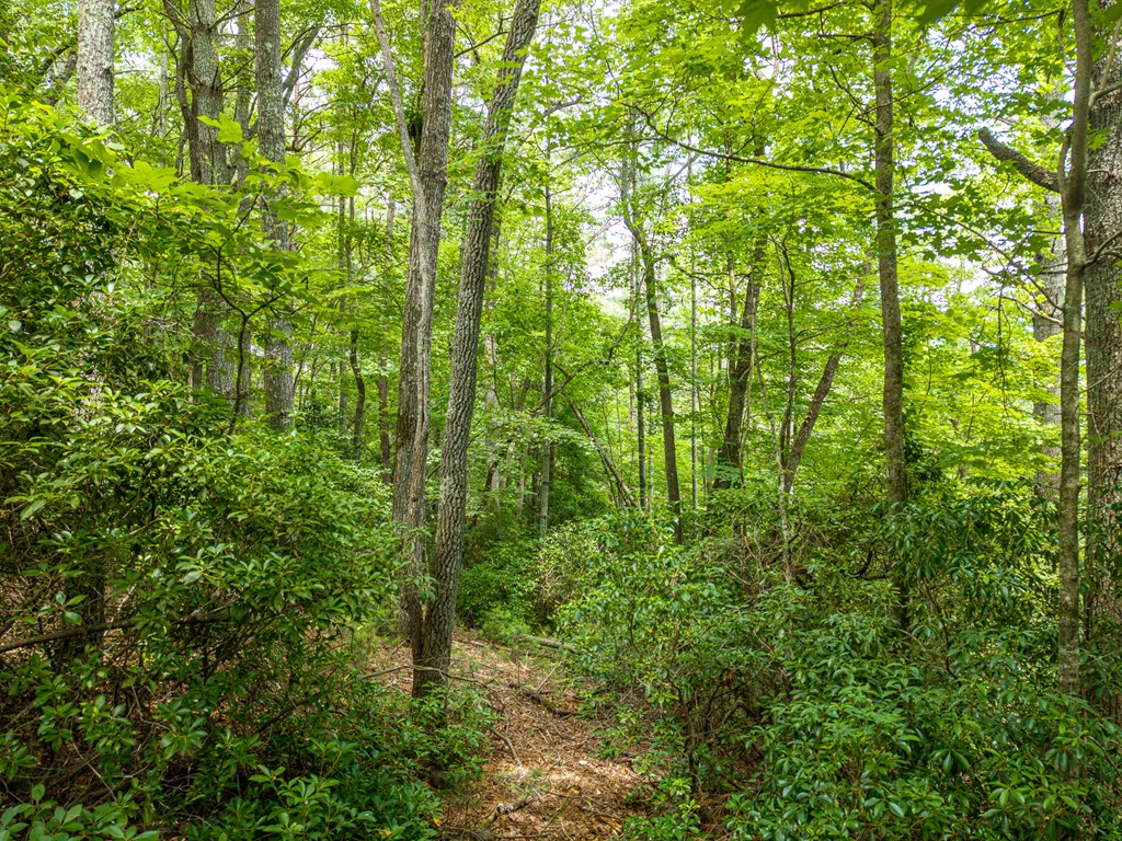 Lot 630 Nahunta Court