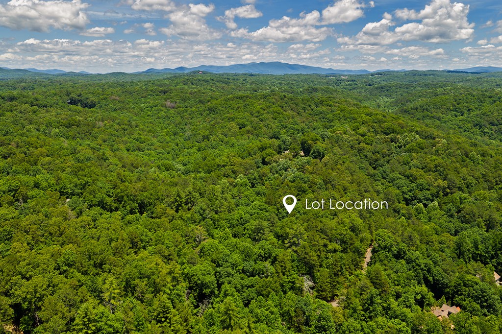 Lot 101R Mountain Creek Hollow Drive