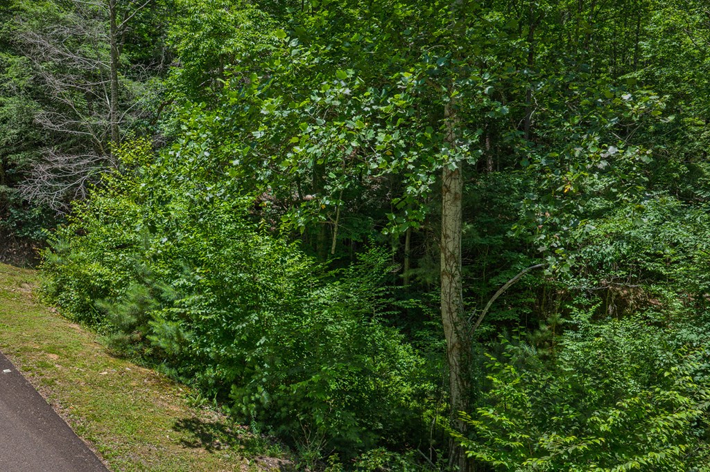 Lot 101R Mountain Creek Hollow Drive