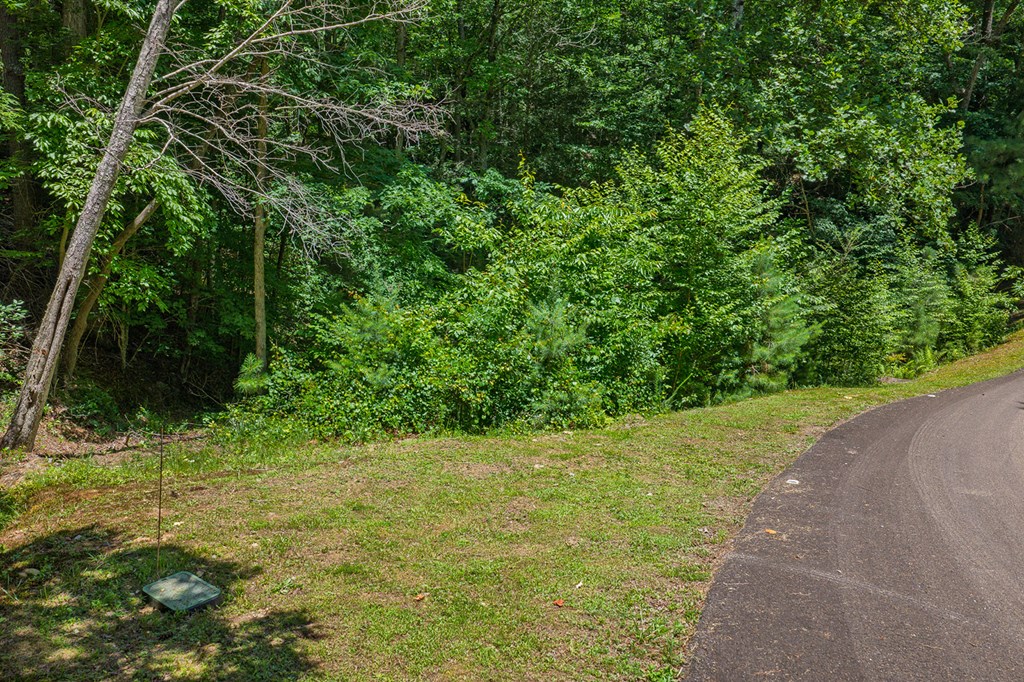 Lot 101R Mountain Creek Hollow Drive