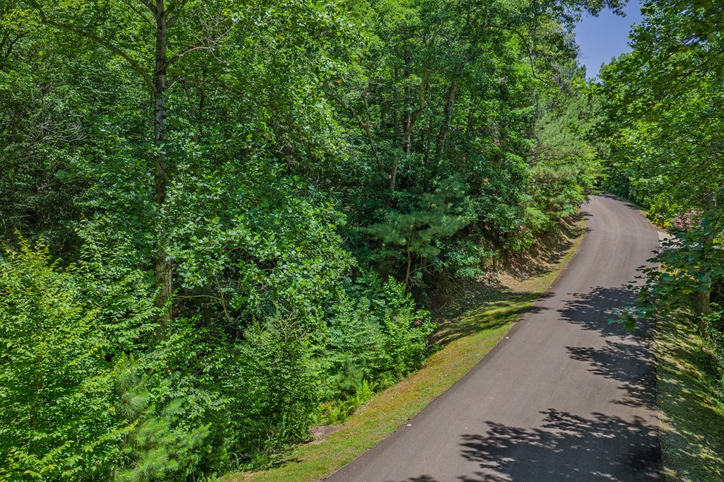 Lot 101R Mountain Creek Hollow Drive