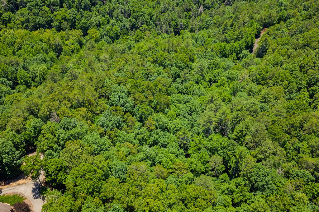 Lot 101R Mountain Creek Hollow Drive