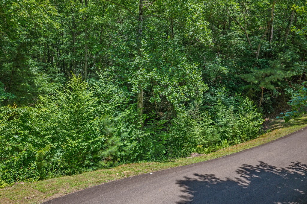 Lot 101R Mountain Creek Hollow Drive