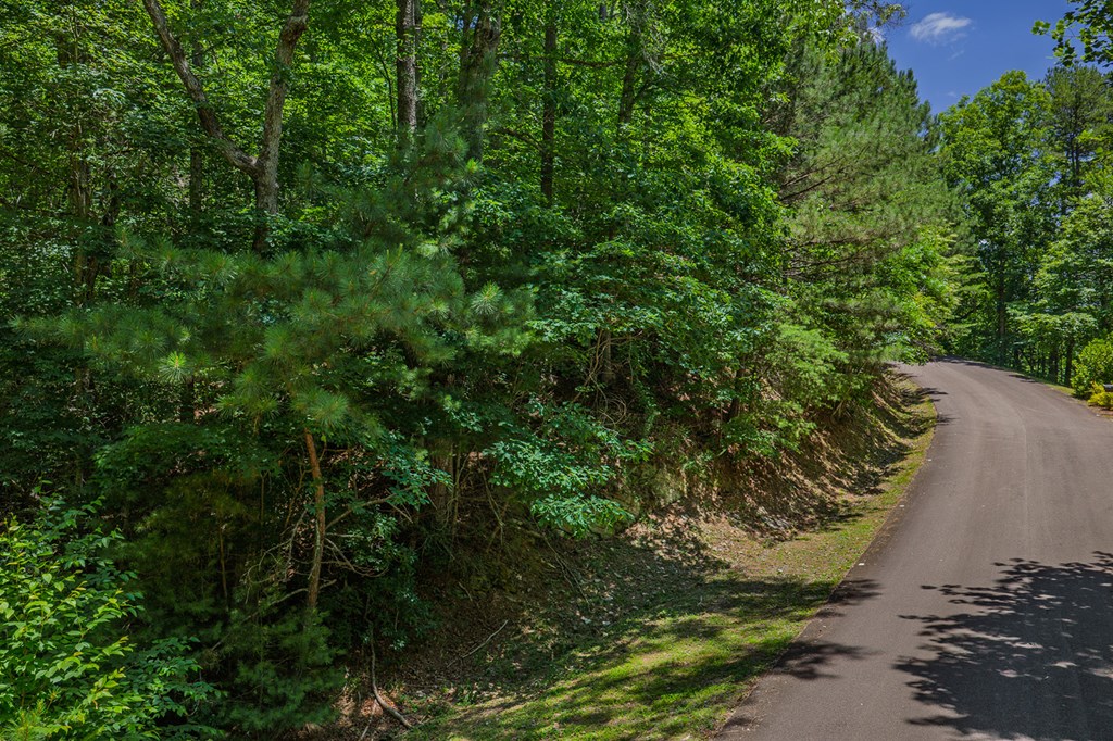 Lot 101R Mountain Creek Hollow Drive