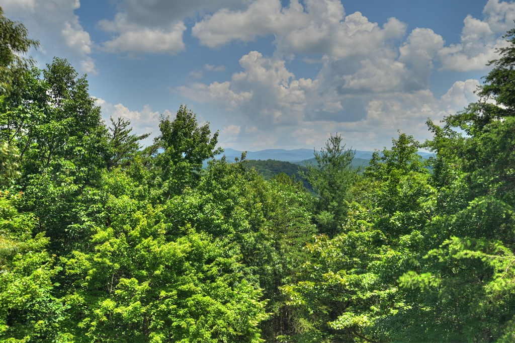 762 Pettit Ridge Road