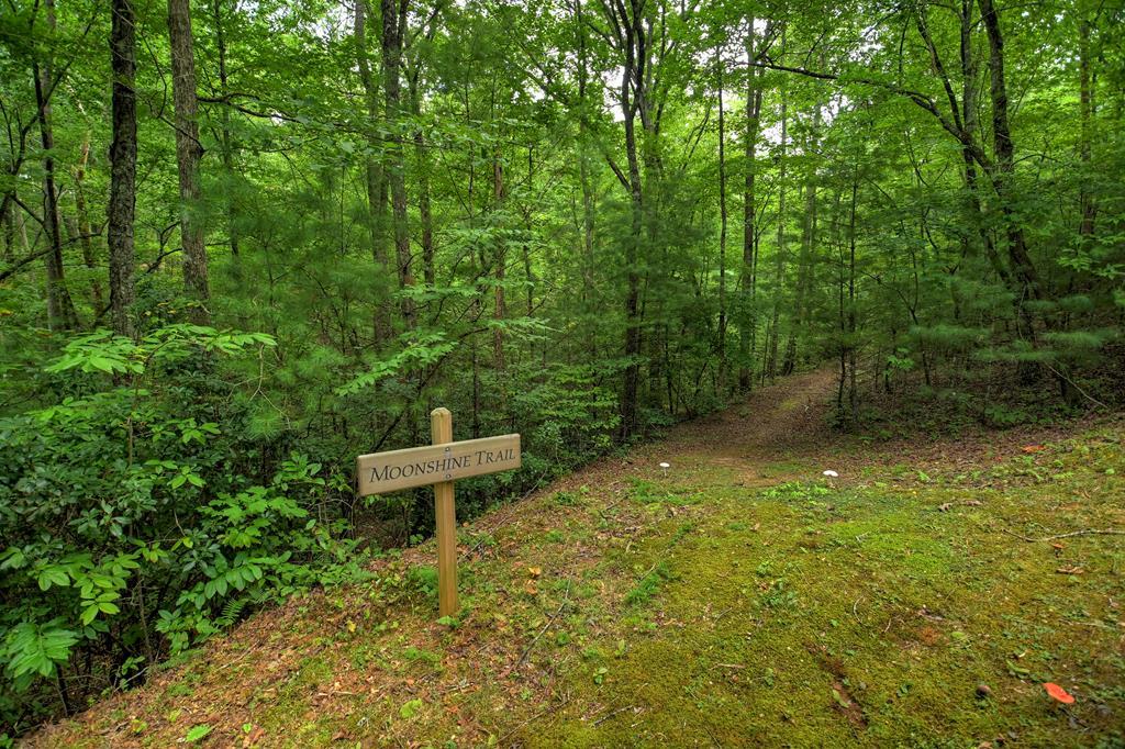 290 Old Anderson Creek