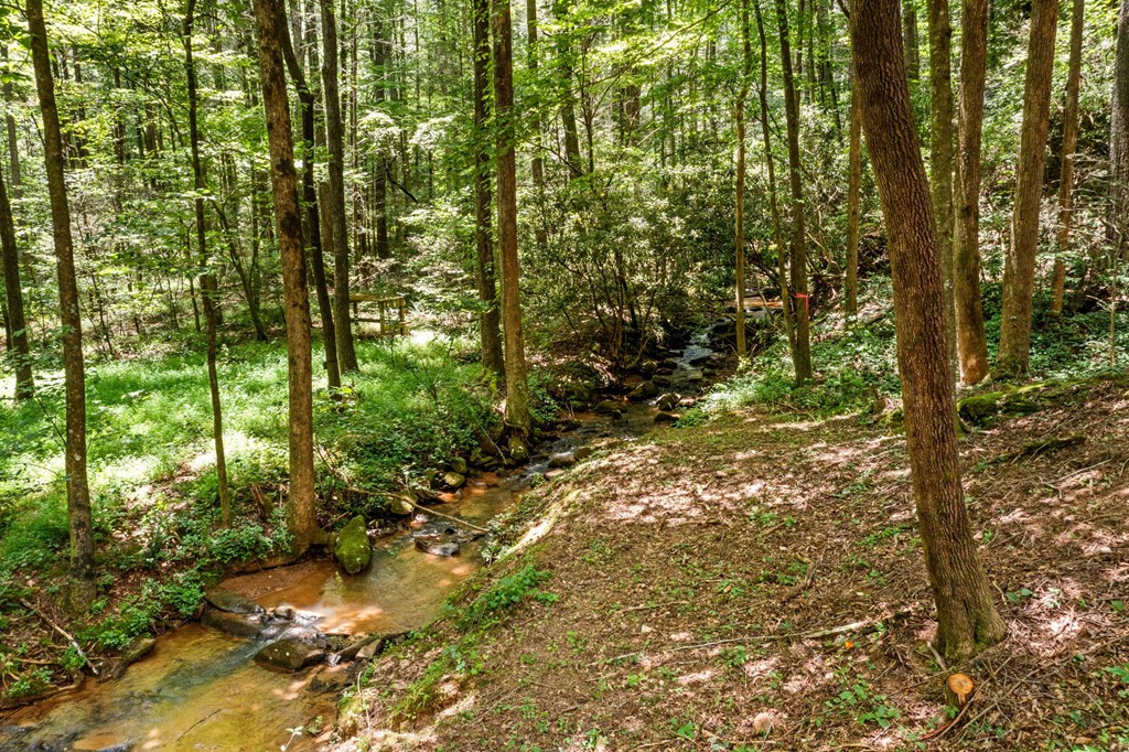 641 Bryant Farm Lane