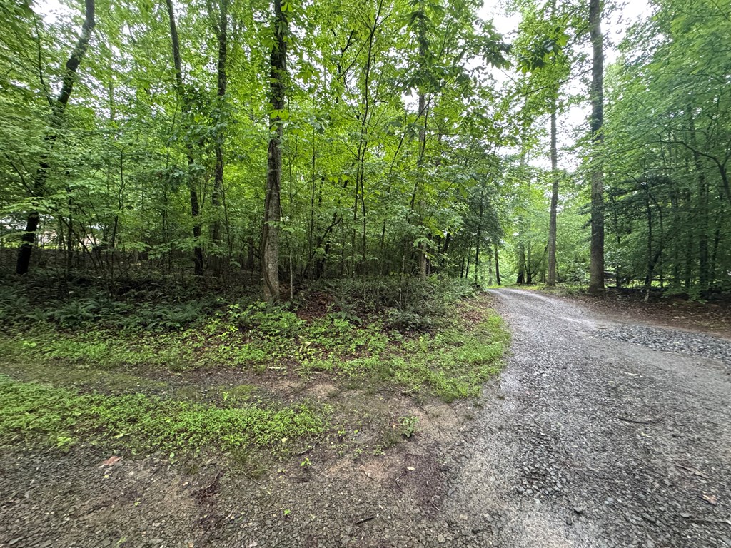 1.23 AC Bear Run Circle