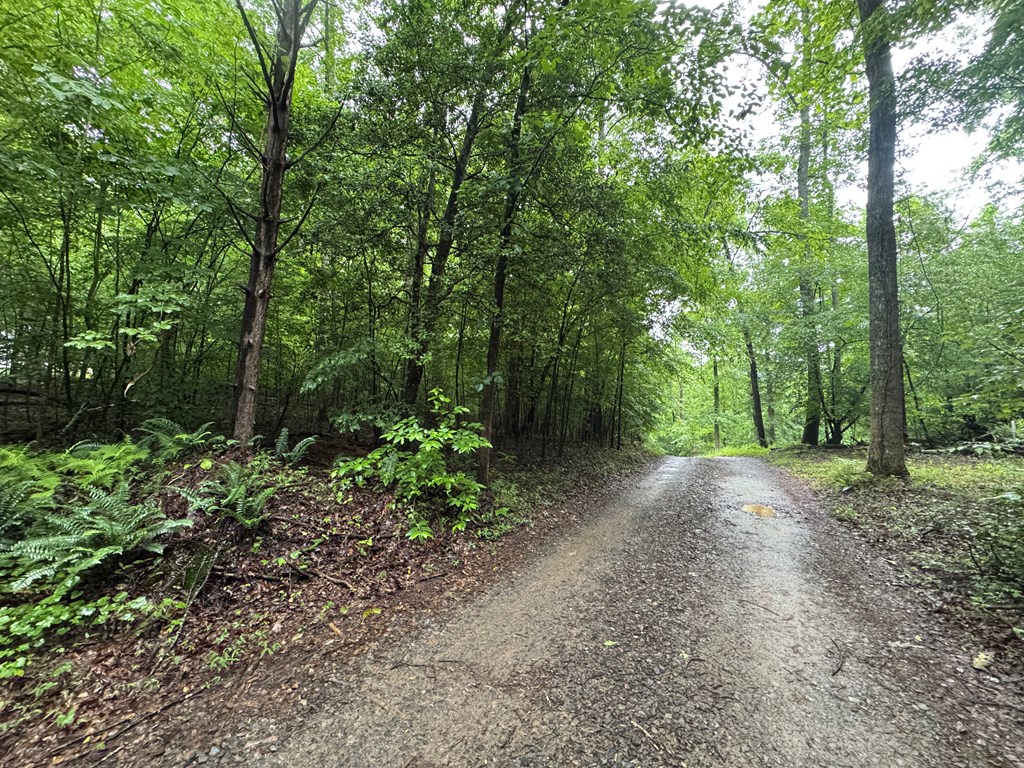 1.23 AC Bear Run Circle