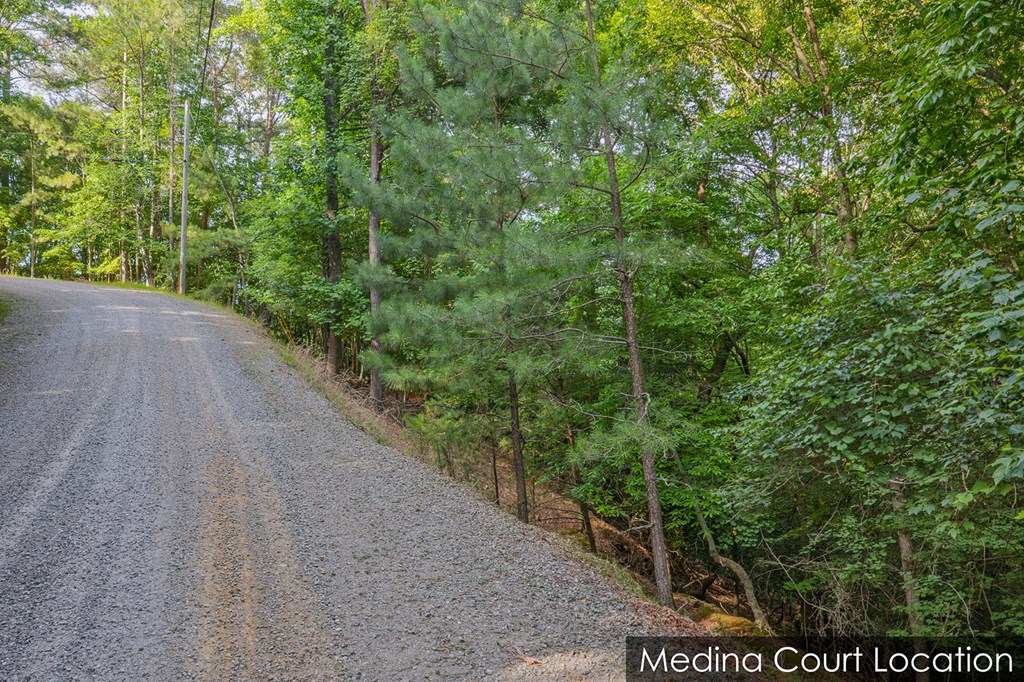 Lot 2800 Medina Court