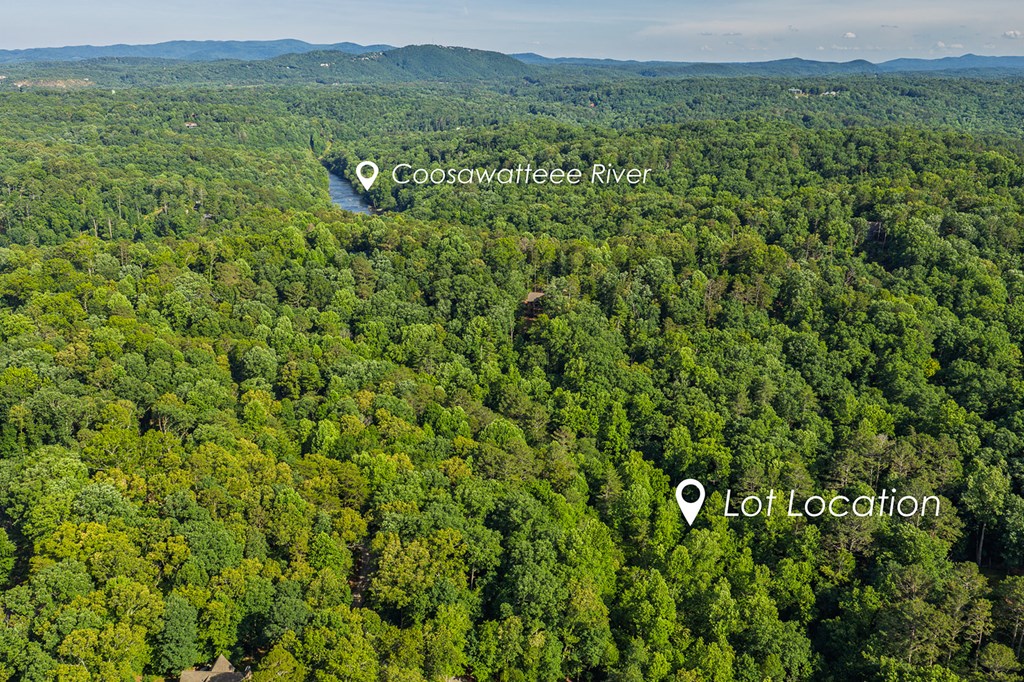 Lot 2800 Medina Court