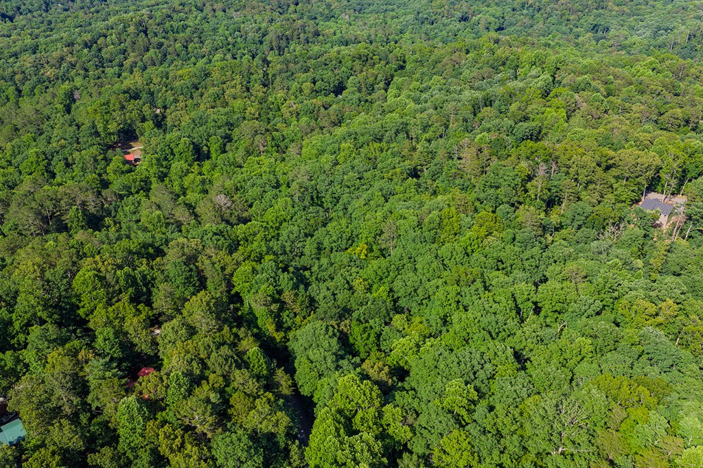 Lot 2800 Medina Court