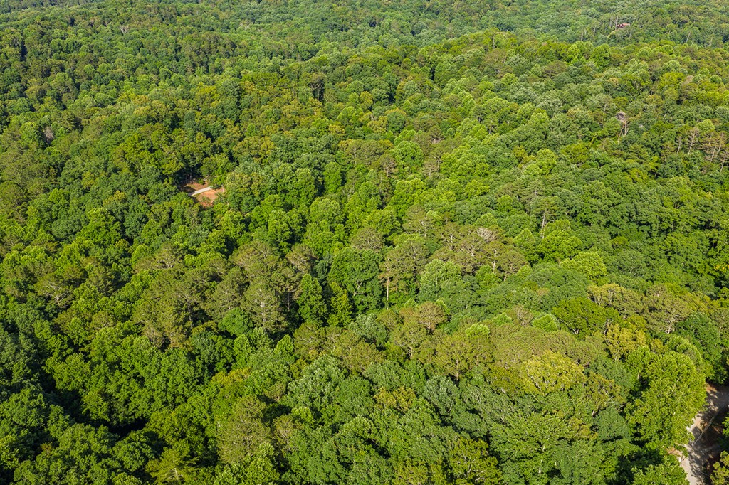 Lot 2800 Medina Court