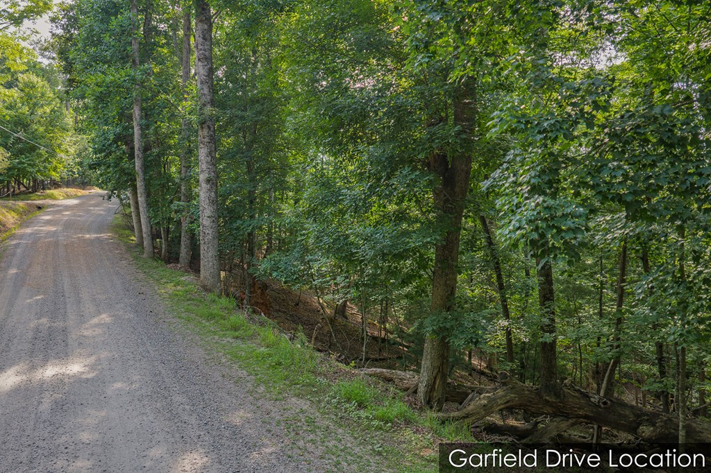 Lot 2800 Medina Court