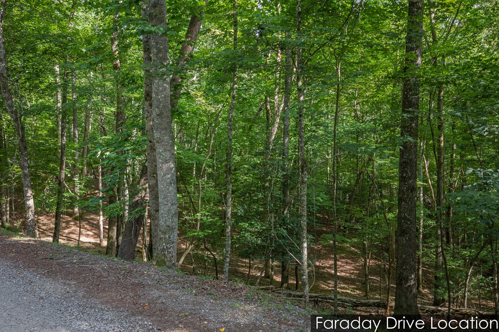 Lot 2800 Medina Court
