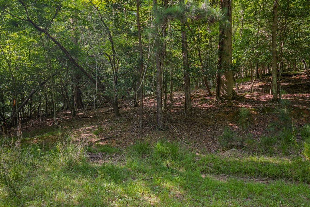 Lot 2800 Medina Court