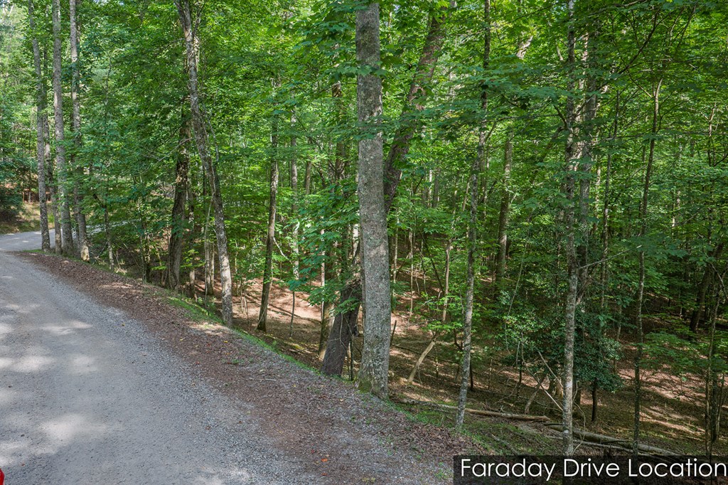 Lot 2800 Medina Court