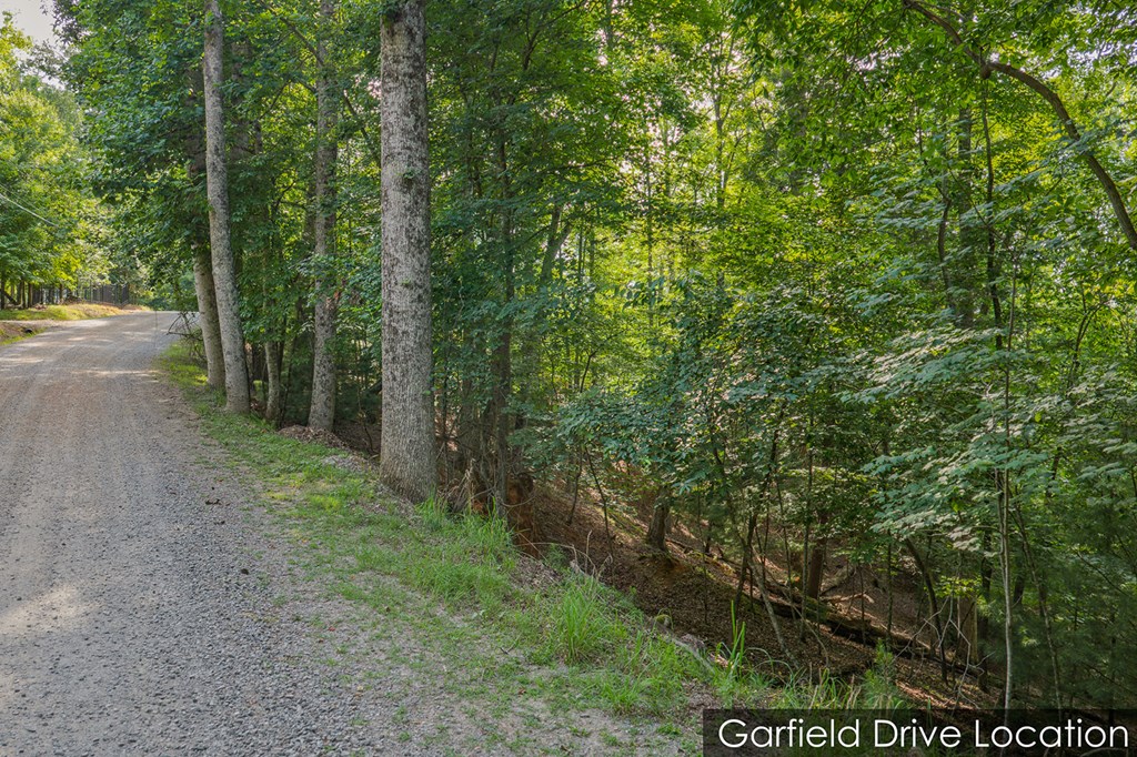 Lot 2800 Medina Court