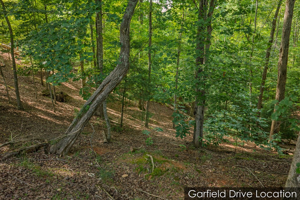 Lot 2800 Medina Court