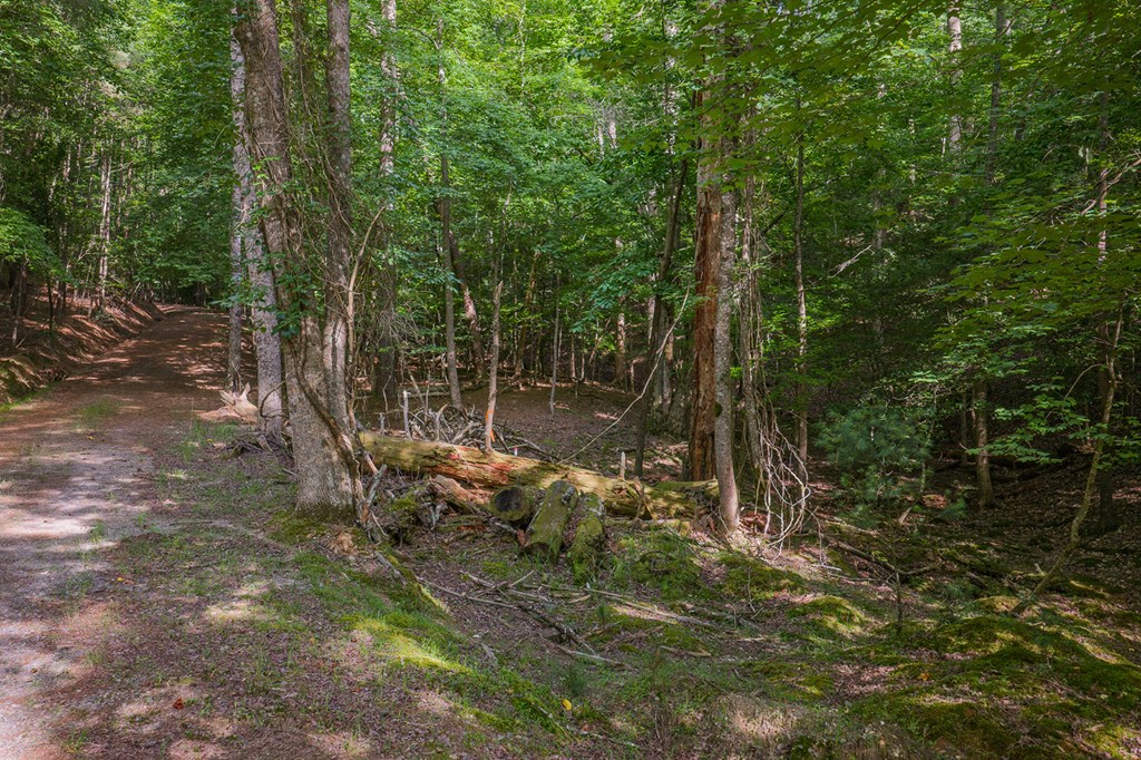Lot 2800 Medina Court