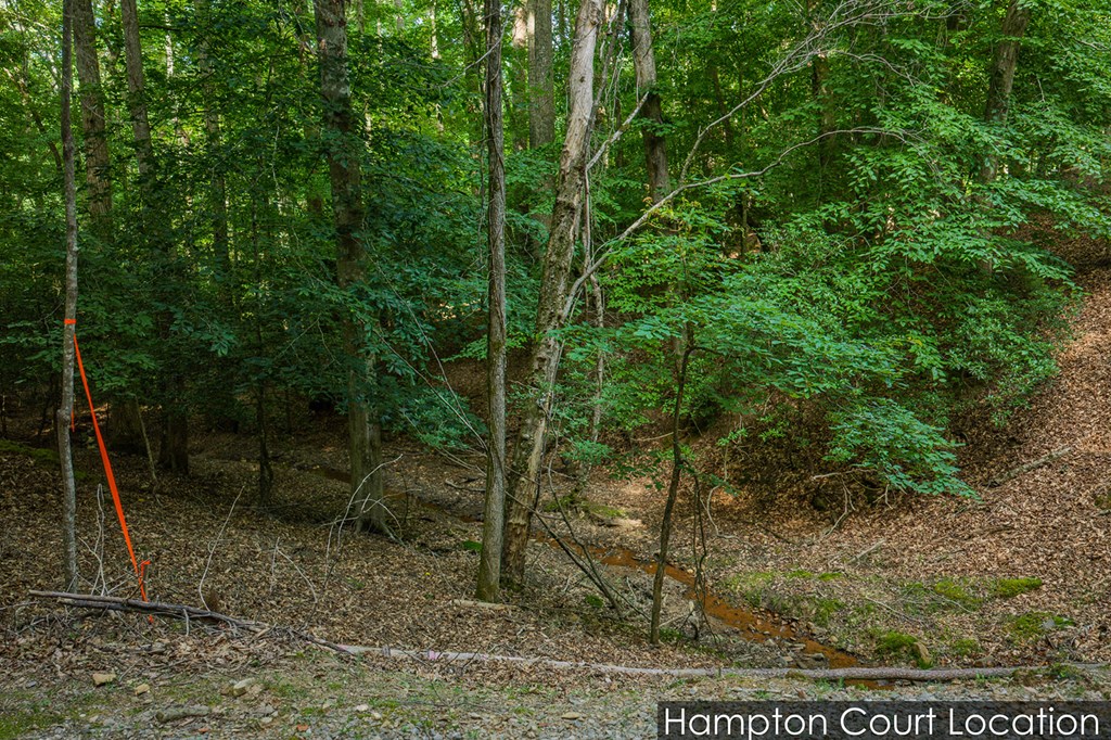 Lot 2800 Medina Court