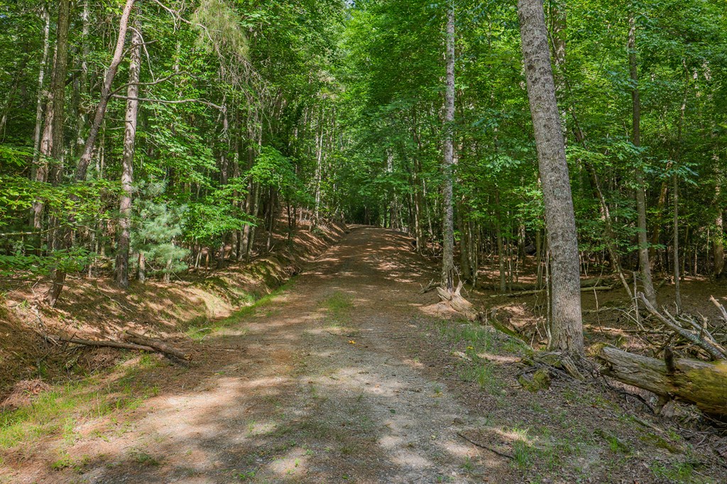 Lot 2800 Medina Court